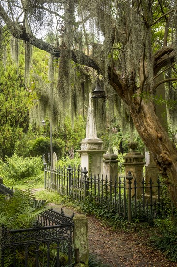 Old church graveyard with lush foliage