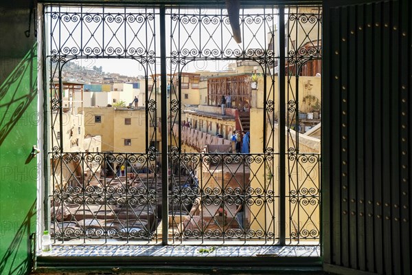 Tannery section of medina where hides are tanned