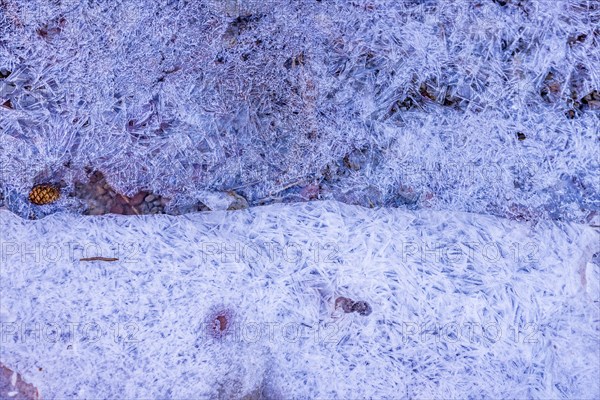 Frozen creek in winter in Zion National Park