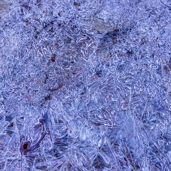 Frozen creek in winter in Zion National Park