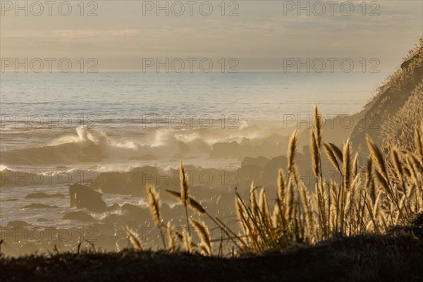 Waves on Big Sur coast