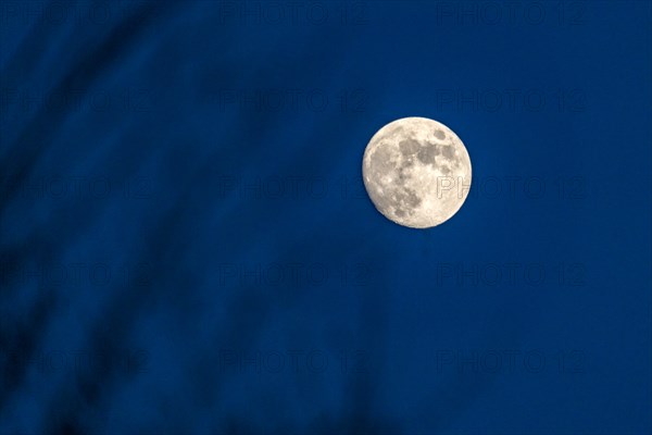 Night sky with full moon