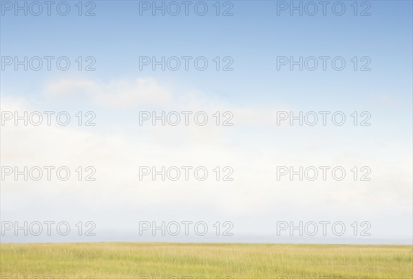 Sky above grass near beach