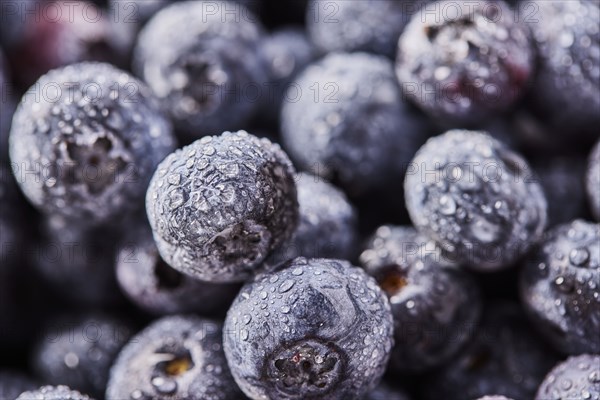 Close-up of fresh blueberries