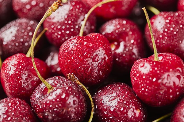 Close-up of fresh cherries with water drops