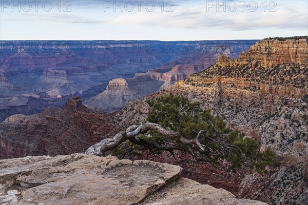 Grand Canyon National Park rock formations