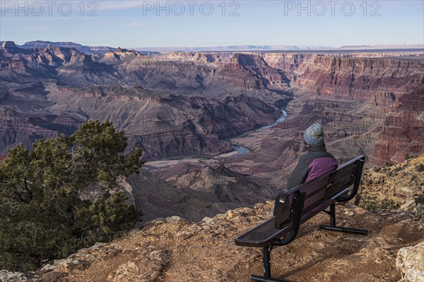 Rear view of female tourist sitting on bench in Grand Canyon National Park