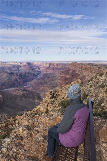 Rear view of female tourist sitting on bench in Grand Canyon National Park