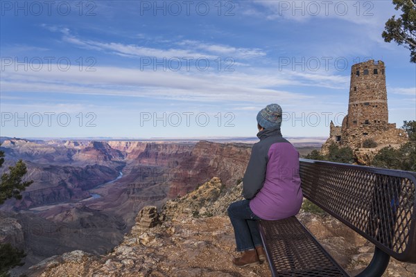 Rear view of female tourist sitting on bench in Grand Canyon National Park