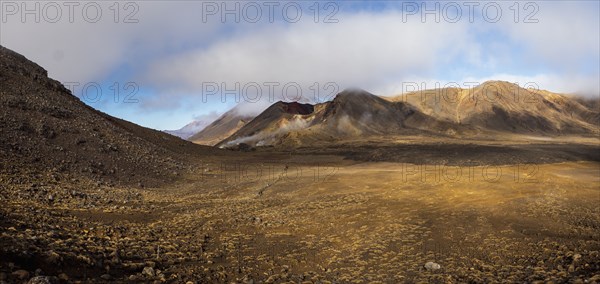 Volcanic landscape