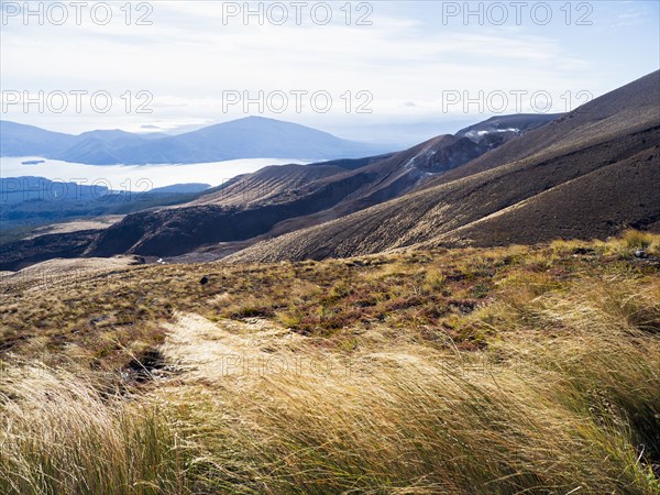 Volcanic landscape