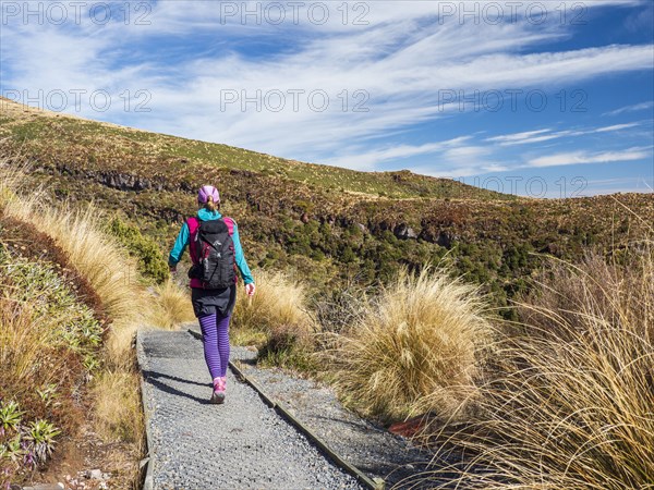 Hiker hiking