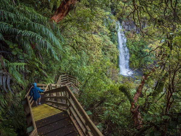 Hiker walking down wooden stairs towards waterfall