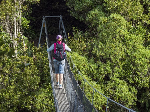 Hiker walking on rope bridge in forest
