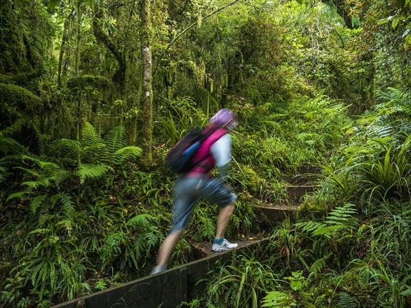 Hiker walking on stairs in forest