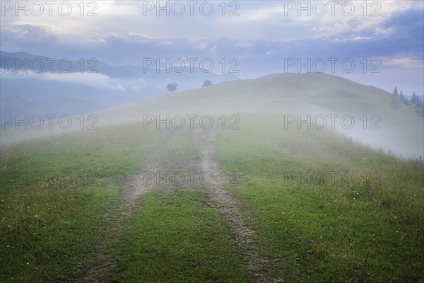 Fog over green landscape in Carpathian Mountains