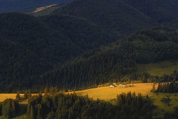 Cottages among mountains in Carpathian Mountains