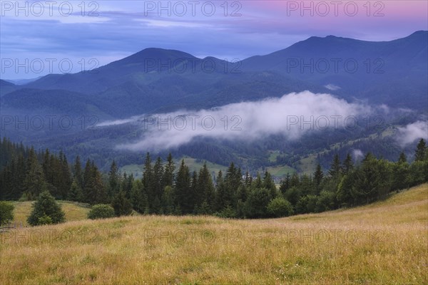 Rolling landscape in Carpathian Mountains