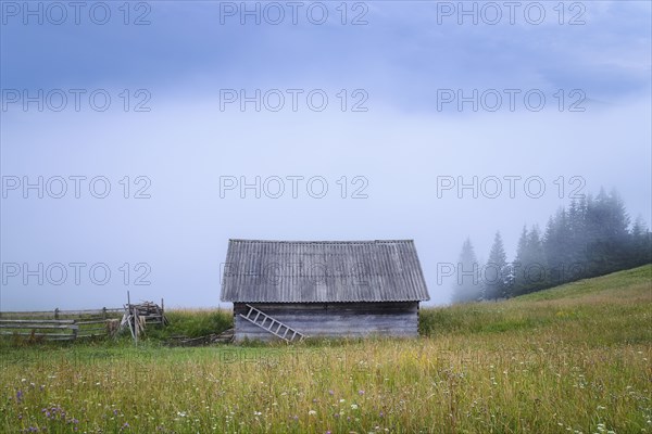 Wooden hut in Carpathian Mountains