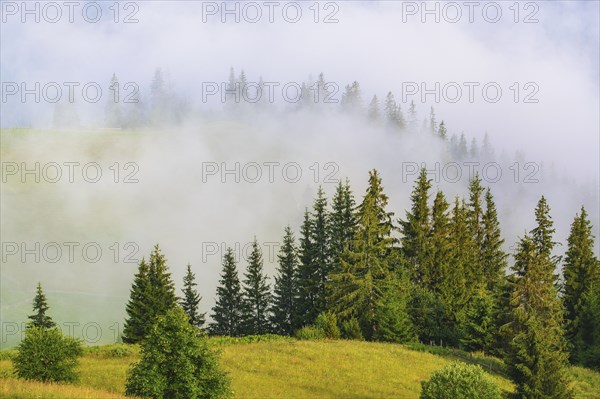 Foggy rolling landscape in Carpathian Mountains