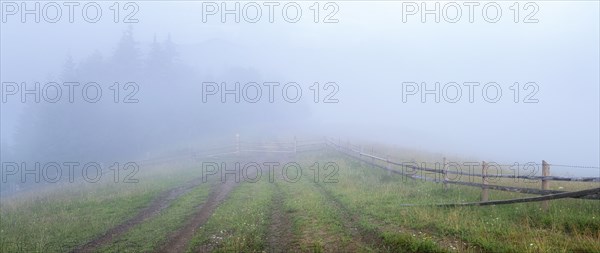 Foggy rural landscape in Carpathian Mountains