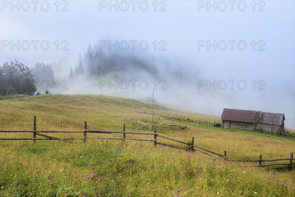 Foggy rural landscape in Carpathian Mountains