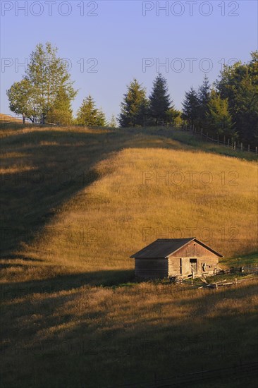 Wooden hut in Carpathian Mountains at sunset