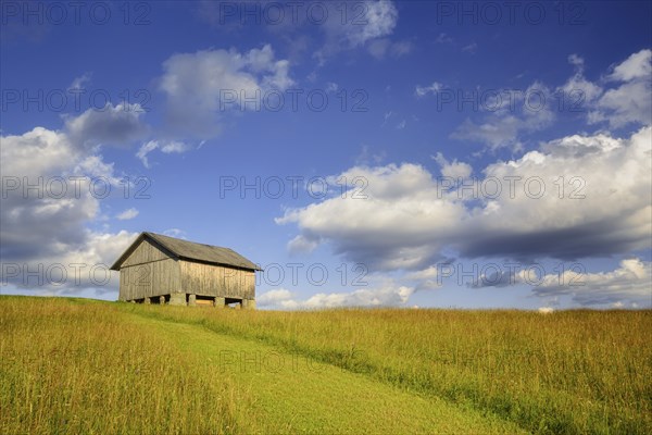 Wooden hut in rural landscape in Carpathian Mountains