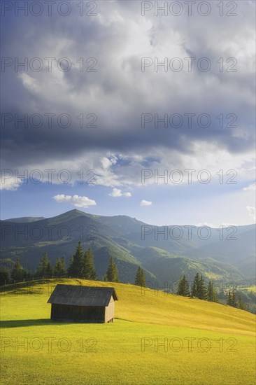 Wooden hut in rural landscape in Carpathian Mountains