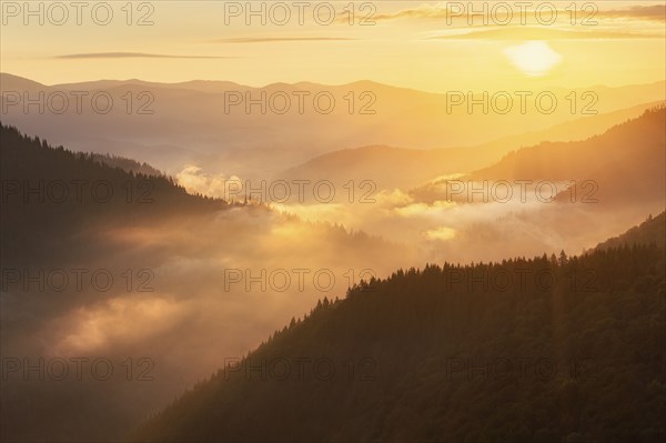 Foggy Carpathian Mountains landscape at sunset