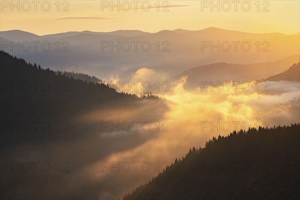 Foggy Carpathian Mountains landscape at sunset