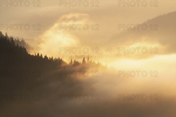 Foggy Carpathian Mountains landscape at sunset