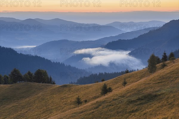 Rolling landscape in Carpathian Mountains at sunset