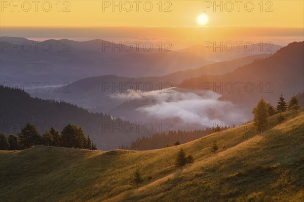 Rolling landscape in Carpathian Mountains at sunset