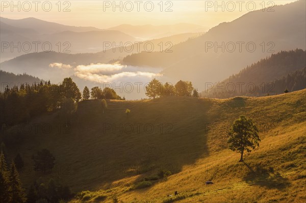 Rolling landscape in Carpathian Mountains at sunset