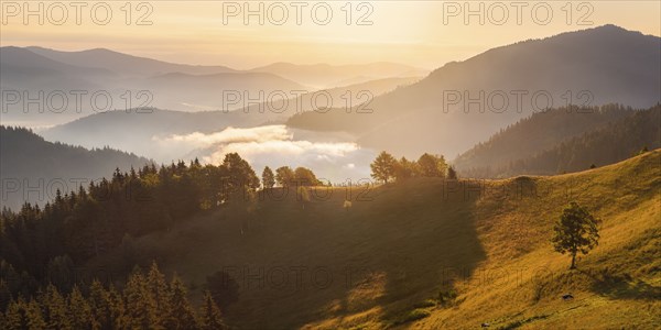 Rolling landscape in Carpathian Mountains at sunset