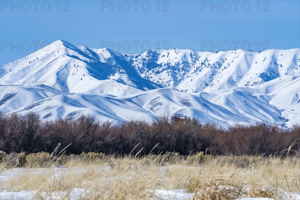 Scenic view of landscape with snowcapped mountain