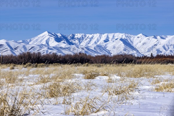 Scenic view of landscape with snowcapped mountain