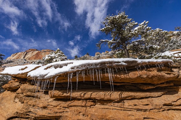 Icicles hanging from rock in mountains