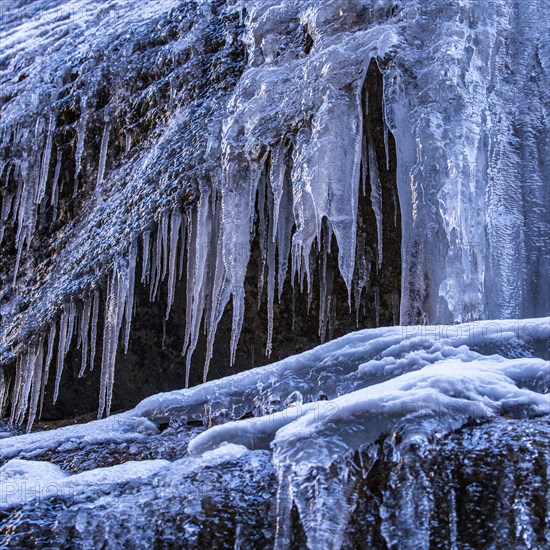Close-up of icicles hanging on rock