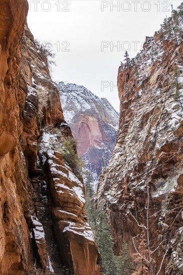 Narrow canyon in mountains in winter