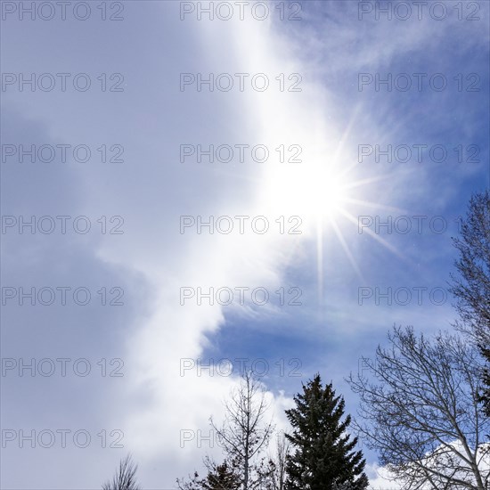 Sun shining through clouds with trees on foreground