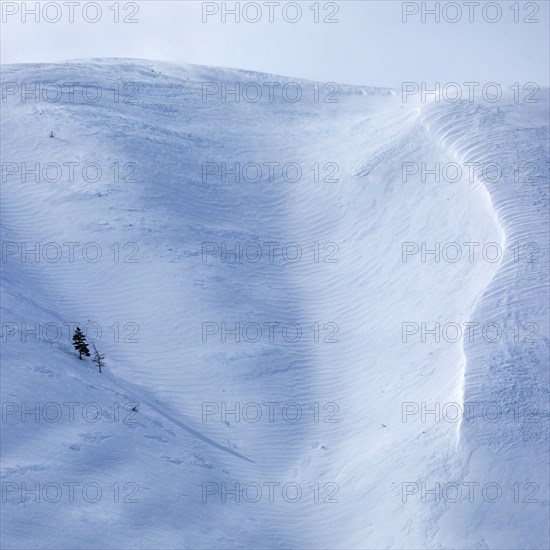 Scenic view of snowcapped mountain