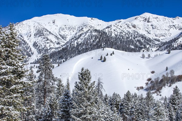 Scenic view of mountains in winter