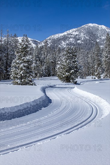 Country road in mountains in winter