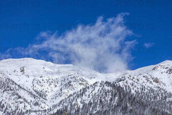 Snow-covered mountain peaks and trees