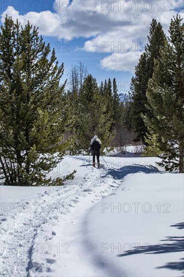 Senior woman hiking in snowy forest