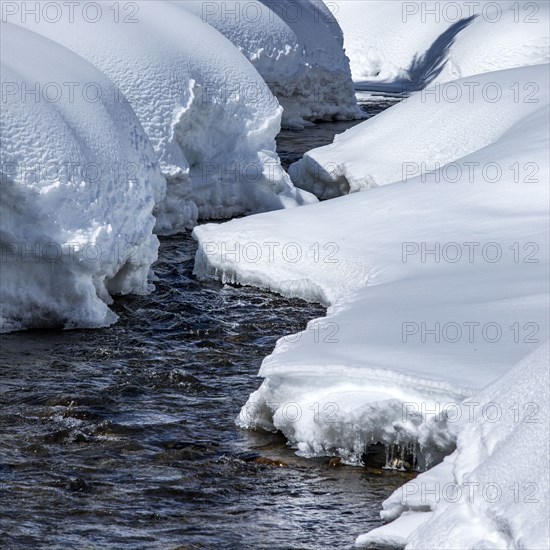 Forest stream with snow on banks