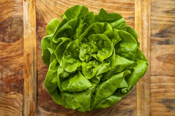 Overhead view of fresh lettuce on wooden surface