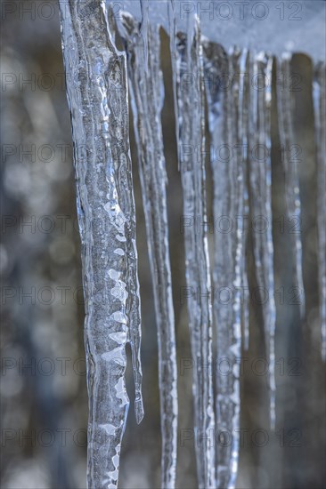 Close up of icicles in winter